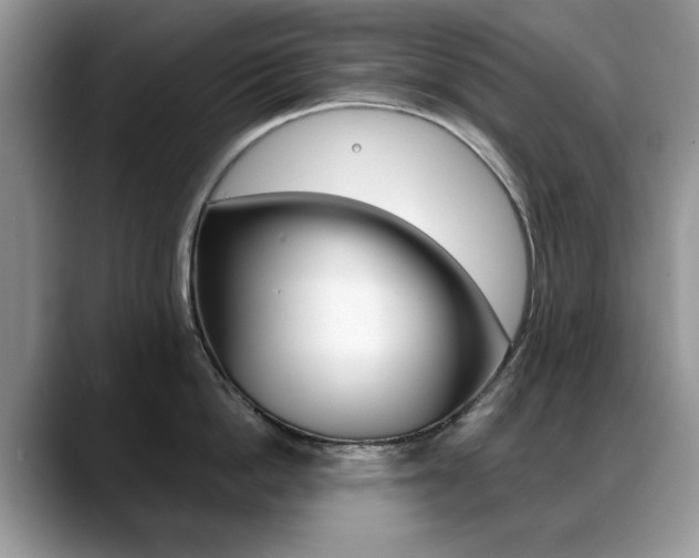 X0000088870862200706080719