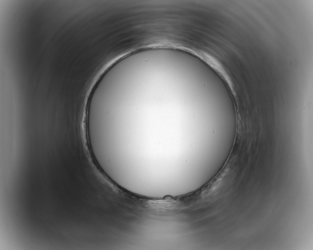 X0000088870863200706080719