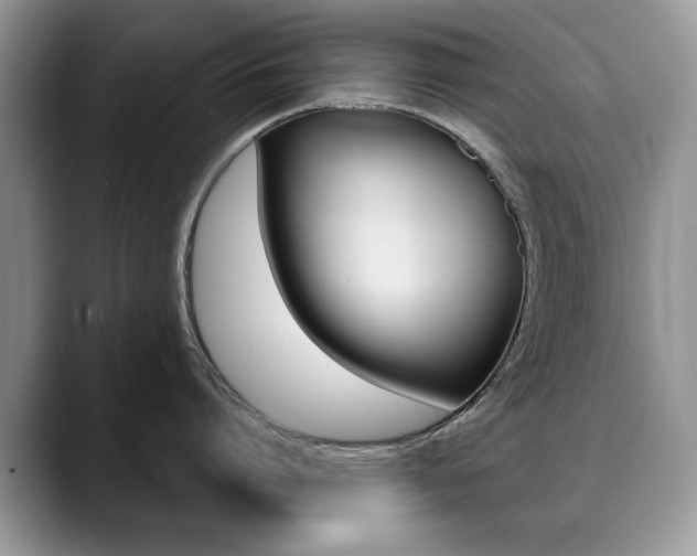 X0000088870864200706080719