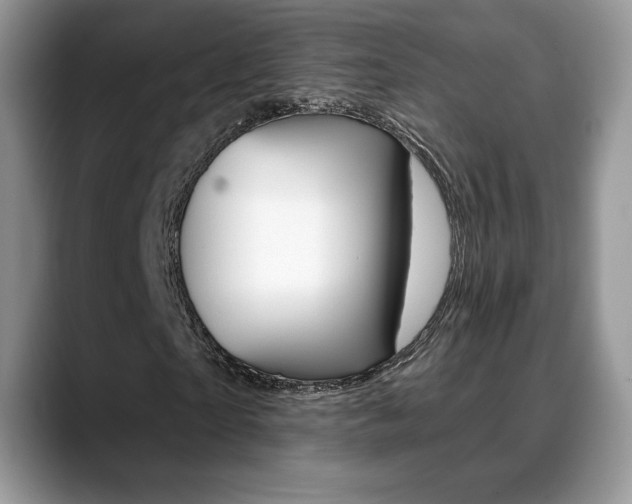 X0000088870865200706080719