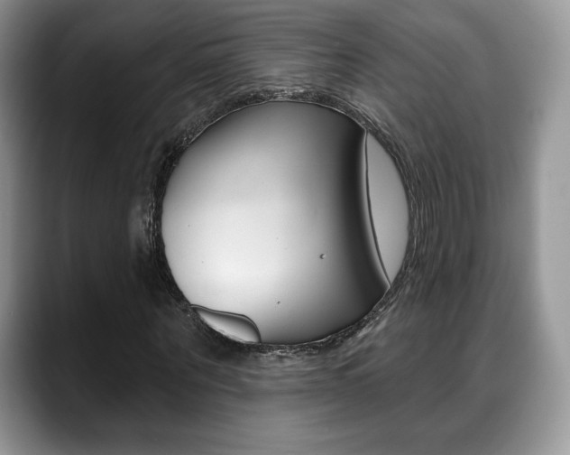 X0000088870867200706080719