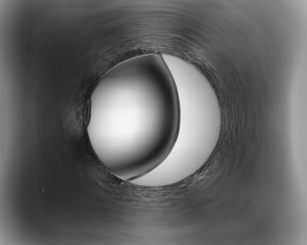 X0000088870868200706080719
