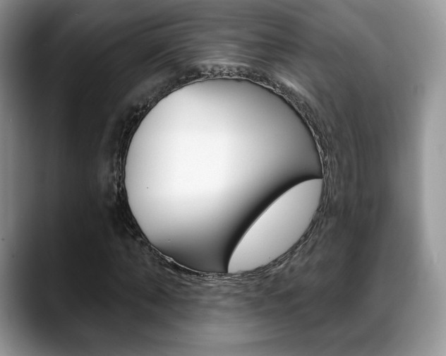 X0000088870870200706080719