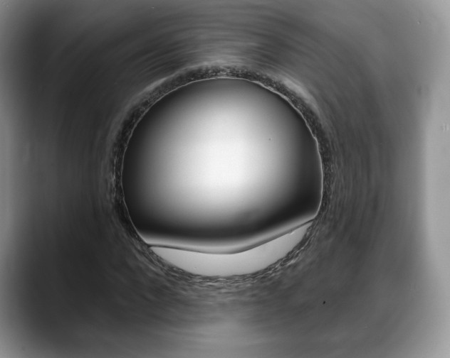 X0000088870872200706080719