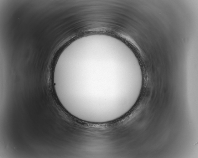 X0000088870874200706080719