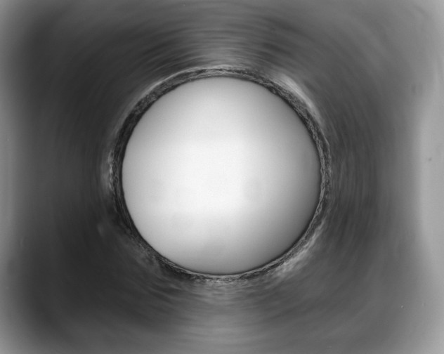 X0000088870875200706080719