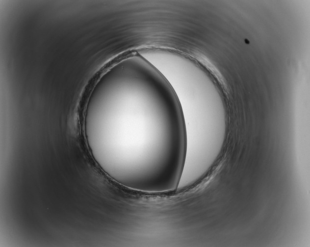 X0000088870876200706080719