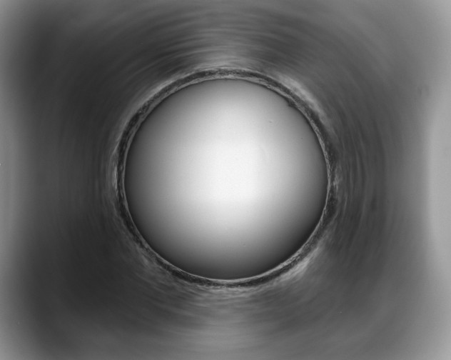 X0000088870877200706080719