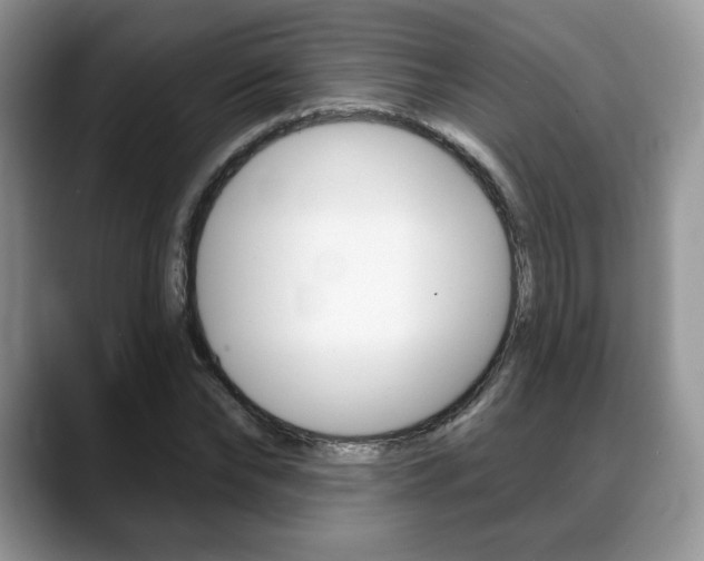 X0000088870878200706080719