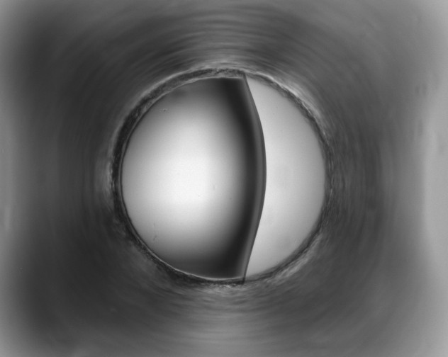 X0000088870880200706080719