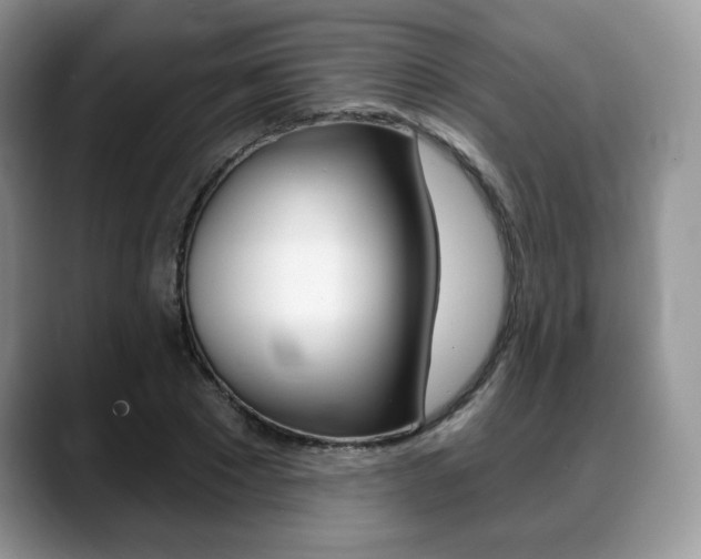X0000088870881200706080719