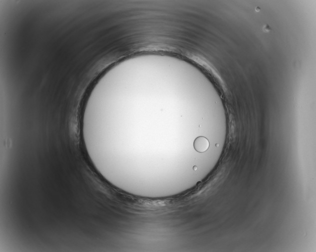 X0000088870882200706080719