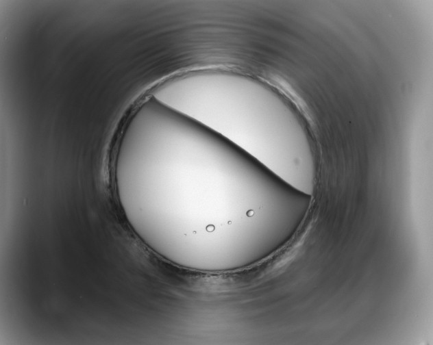 X0000088870883200706080719