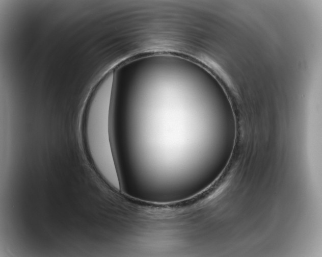 X0000088870885200706080719
