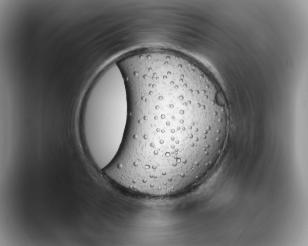 X0000088870887200706080719
