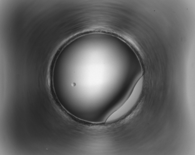 X0000088870888200706080719