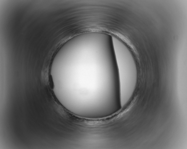 X0000088870889200706080719