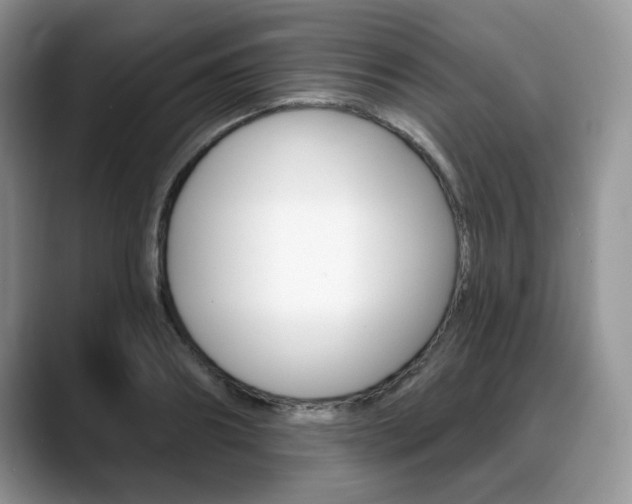 X0000088870890200706080719