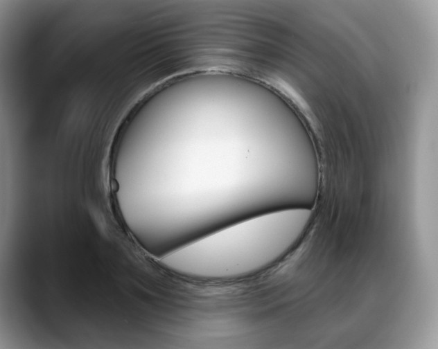 X0000088870891200706080719