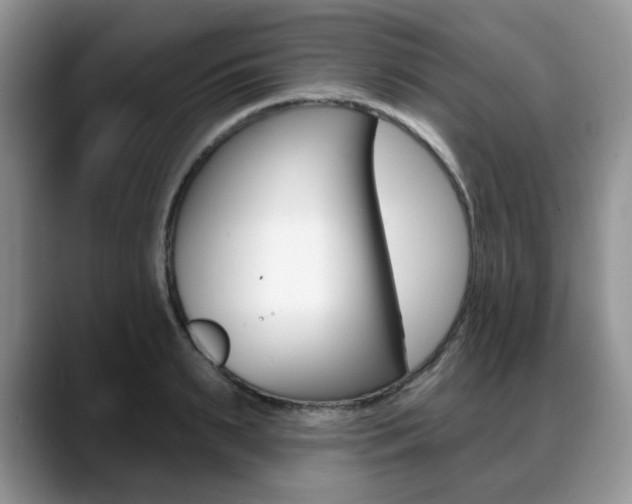 X0000088870895200706080718