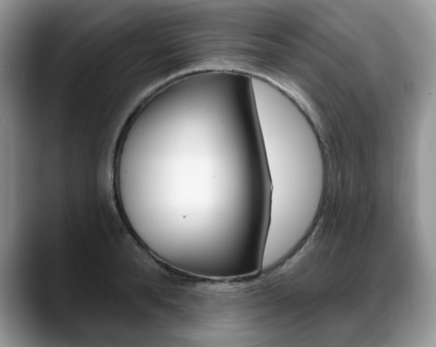 X0000088870896200706080718