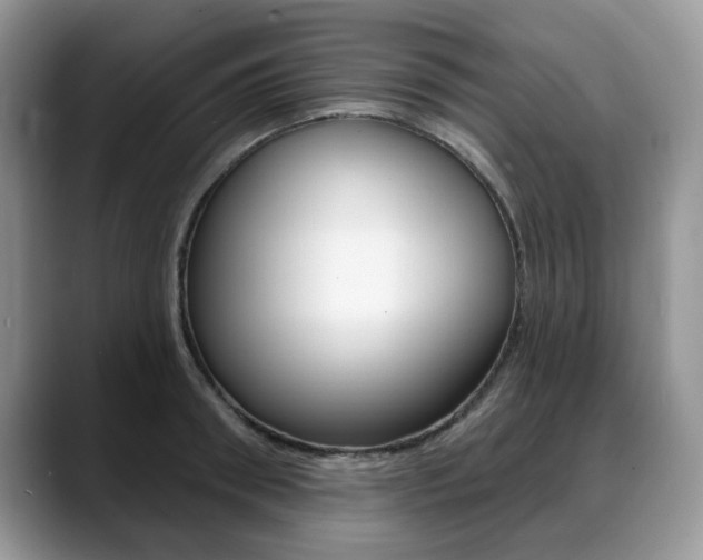 X0000088870898200706080718