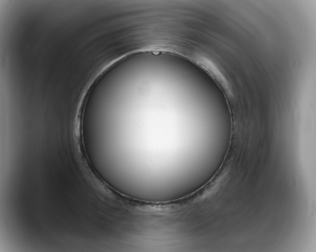 X0000088870900200706080718