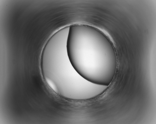 X0000088870903200706080718