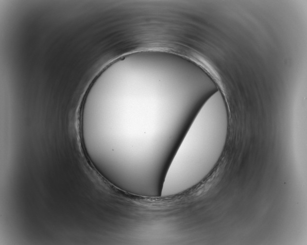 X0000088870907200706080718