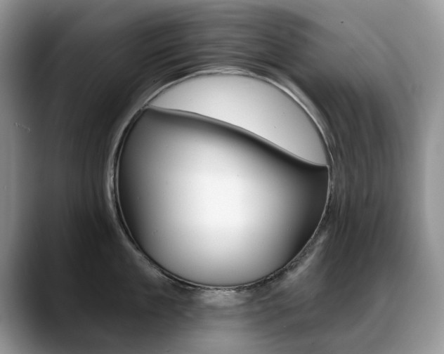 X0000088870909200706080718