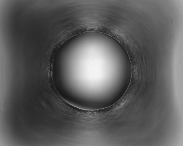 X0000088870916200706080718