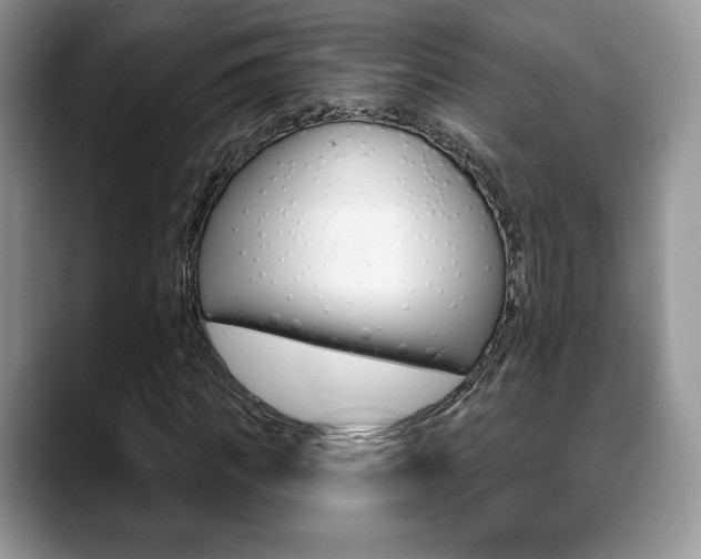 X0000088870917200706080718