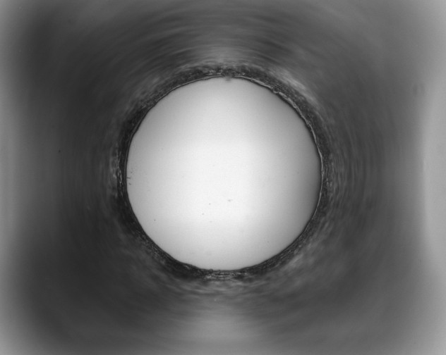 X0000088870918200706080718