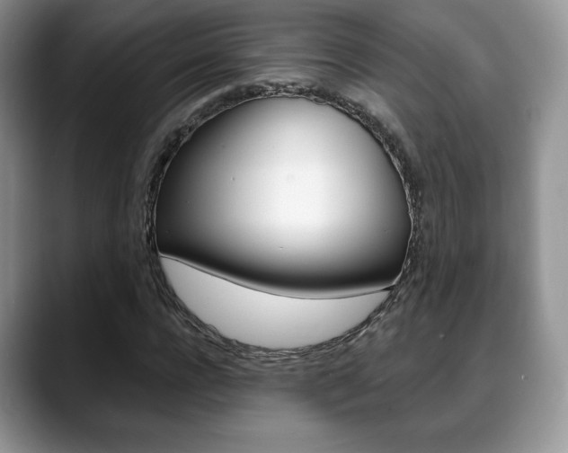 X0000088870920200706080718