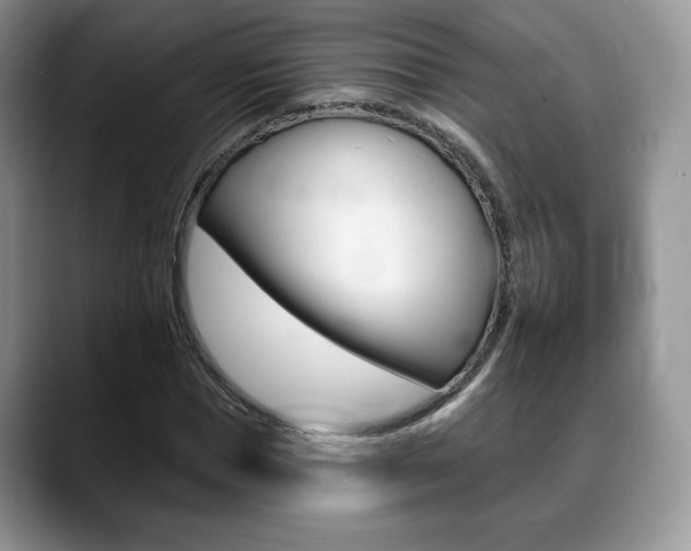 X0000088870921200706080718