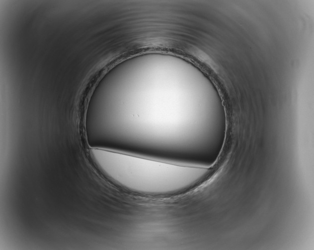 X0000088870922200706080718
