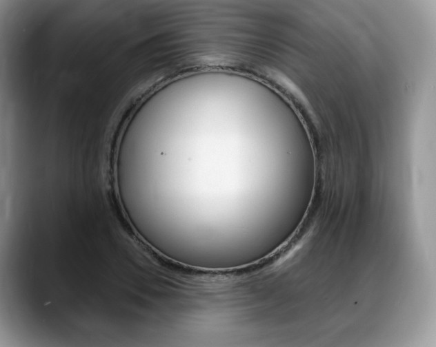 X0000088870930200706080718