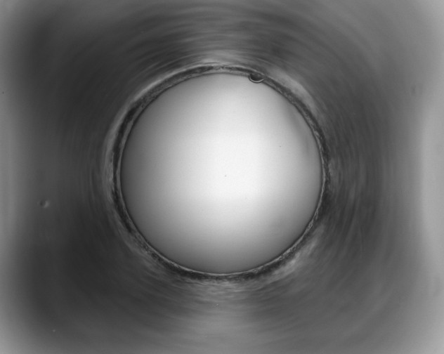 X0000088870931200706080718