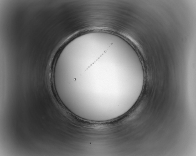 X0000088870933200706080718