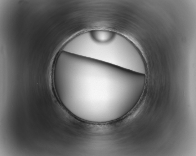 X0000088870941200706080718