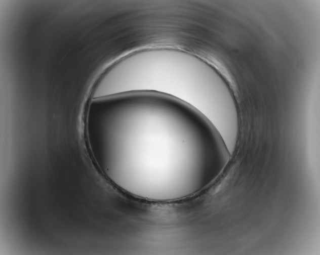 X0000088870944200706080718