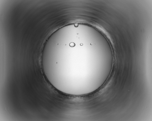 X0000088870945200706080718