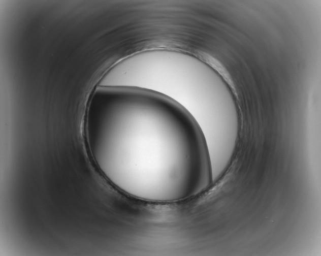 X0000088870946200706080718