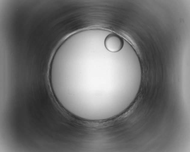 X0000088870948200706080718