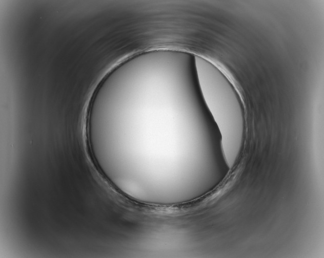 X0000088870957200706080718