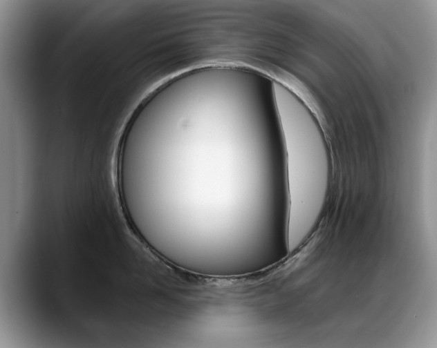 X0000088870958200706080718