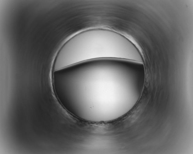 X0000088870959200706080718