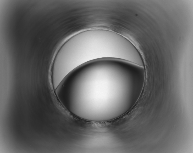 X0000088870960200706080718
