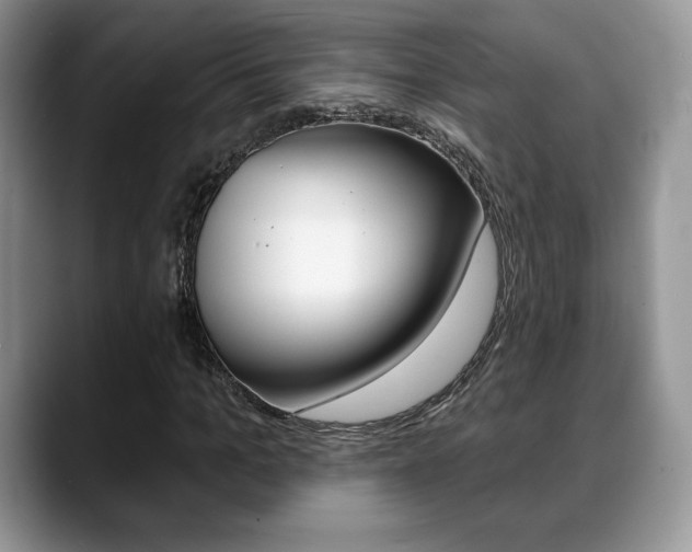 X0000088870965200706080718
