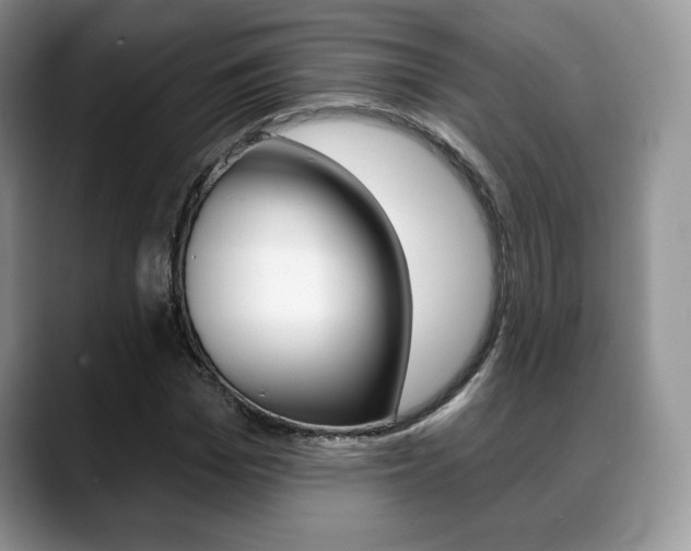 X0000088870969200706080717